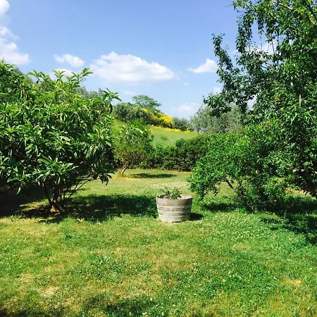 Rosso Del Chianti Bed & Breakfast