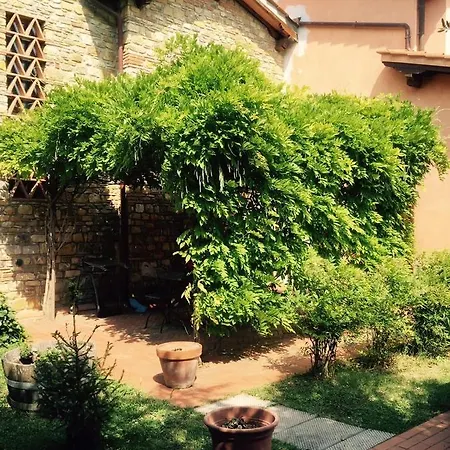 Rosso Del Chianti Panzano in Chianti