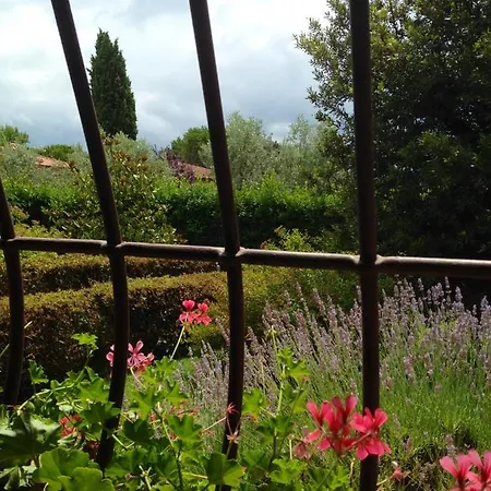 Bed & Breakfast Rosso Del Chianti *