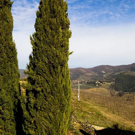 Rosso Del Chianti * Panzano in Chianti