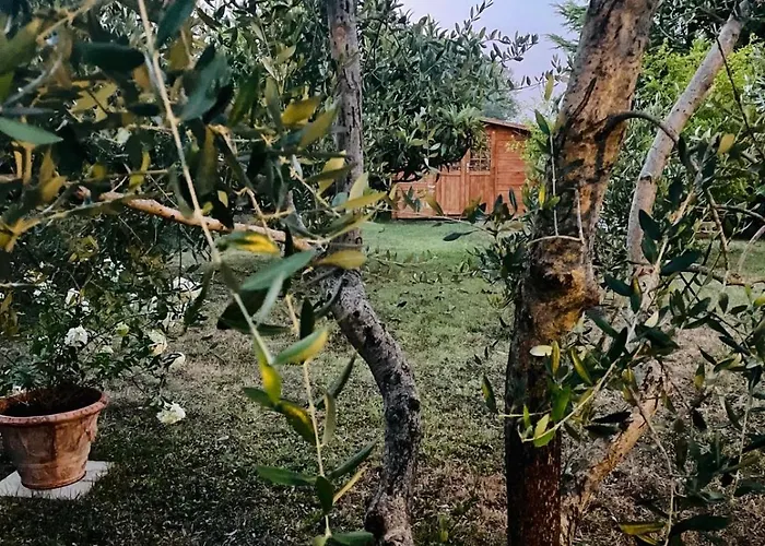 Rosso Del Chianti 4*