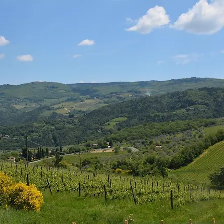 Nocleg ze śniadaniem Rosso Del Chianti *